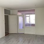 Huur 3 slaapkamer huis van 100 m² in Selwerd