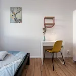 Rent 6 bedroom apartment in Berlin