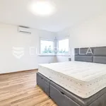 Rent 1 bedroom apartment of 50 m² in Zagreb