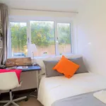 Rent 1 bedroom apartment in Coventry