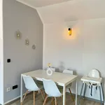 Rent 1 bedroom apartment of 58 m² in Erfurt