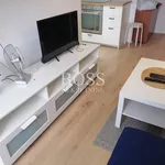 Najam 3 spavaće sobe stan od 42 m² u Grad Rijeka