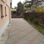 Rent 1 bedroom house of 180 m² in Wrocław