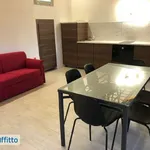 Rent 2 bedroom apartment of 50 m² in Turin