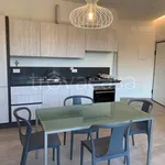 Rent 3 bedroom apartment of 84 m² in Riccione