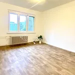 Rent 2 bedroom apartment in Ostrava