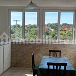 3-room flat Contrada Profondiero, San Nicola Arcella