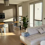 Rent 2 bedroom apartment of 90 m² in Prague