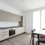 Rent 2 bedroom apartment of 60 m² in Vicenza