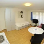 Miete 1 Schlafzimmer wohnung von 30 m² in Zürich