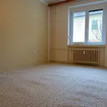 Rent 2 bedroom apartment in Hodonín