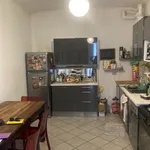 Rent 1 bedroom apartment of 45 m² in torino