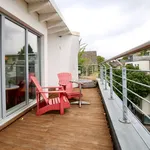 Rent 1 bedroom apartment of 409 m² in Cologne