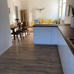 Rent 3 bedroom apartment of 77 m² in Wuppertal