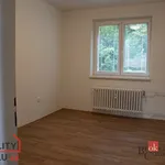 Pronájem bytu 2+1 56m²