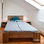 Rent 3 bedroom apartment of 58 m² in Brno