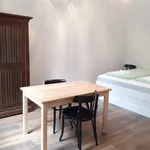 Rent 1 bedroom apartment of 25 m² in Budapest