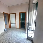 Rent 2 bedroom apartment of 60 m² in Naples