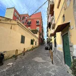 Rent 2 bedroom apartment of 30 m² in Naples