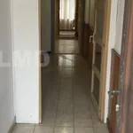 Rent 3 bedroom house of 123 m² in Lavelanet