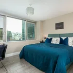 Rent 1 bedroom flat in Brighton