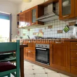 Rent 3 bedroom apartment of 120 m² in Catanzaro