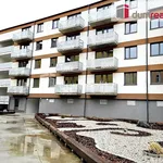 Rent 2 bedroom apartment of 79 m² in Plzeň