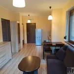 Rent 2 bedroom apartment of 33 m² in Szczecin