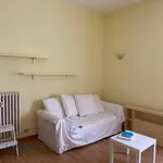 Rent 1 bedroom apartment of 30 m² in Milano