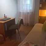 Rent 4 bedroom apartment of 11 m² in Poznan