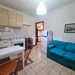 Rent 2 bedroom apartment of 35 m² in Roma