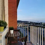 Rent 3 bedroom apartment of 100 m² in Torino