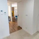 Rent 4 bedroom apartment of 77 m² in Katowice