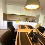 Rent 4 bedroom house of 140 m² in SZCZECIN