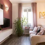 Rent 1 bedroom apartment of 80 m² in milan