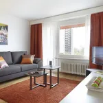 Rent 1 bedroom apartment of 646 m² in Zurich