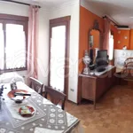 Rent 4 bedroom apartment of 156 m² in Val di Zoldo