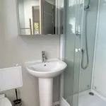 Rent 1 bedroom apartment of 20 m² in Ergué-Gabéric