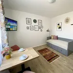 Studio of 26 m² in Prague