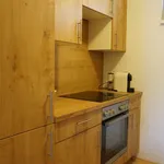 Rent 3 bedroom apartment of 70 m² in Vienna