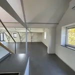 Rent 4 bedroom apartment of 251 m² in Nieuwe Werk