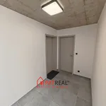 Rent 2 bedroom apartment in Brno