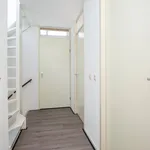 Diabellistraat, Capelle aan den IJssel - Amsterdam Apartments for Rent