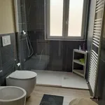 Rent 3 bedroom apartment of 95 m² in Bologna