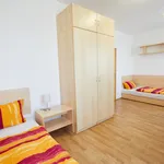 Rent 1 bedroom apartment of 30 m² in Prague