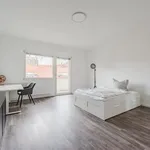 Rent 3 bedroom apartment of 80 m² in Berlin