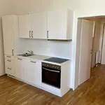 Rent 1 bedroom apartment of 62 m² in Vienna