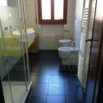 Rent 1 bedroom apartment of 60 m² in Bologna