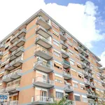 Rent 3 bedroom apartment of 80 m² in Rome