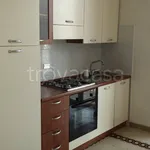 Rent 3 bedroom apartment of 65 m² in Frosinone